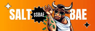 Salt Bae For The People